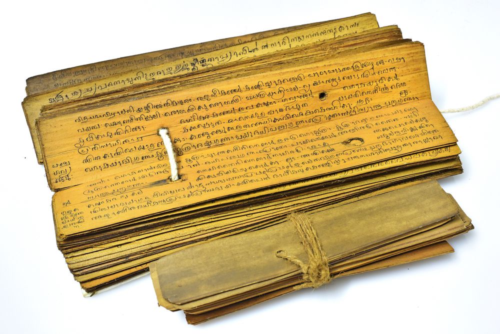 Ancient Palm Leaf